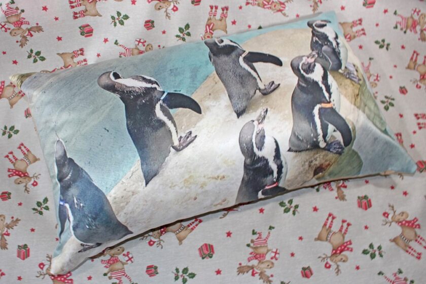 Personalised Cushion from ASDA Photos