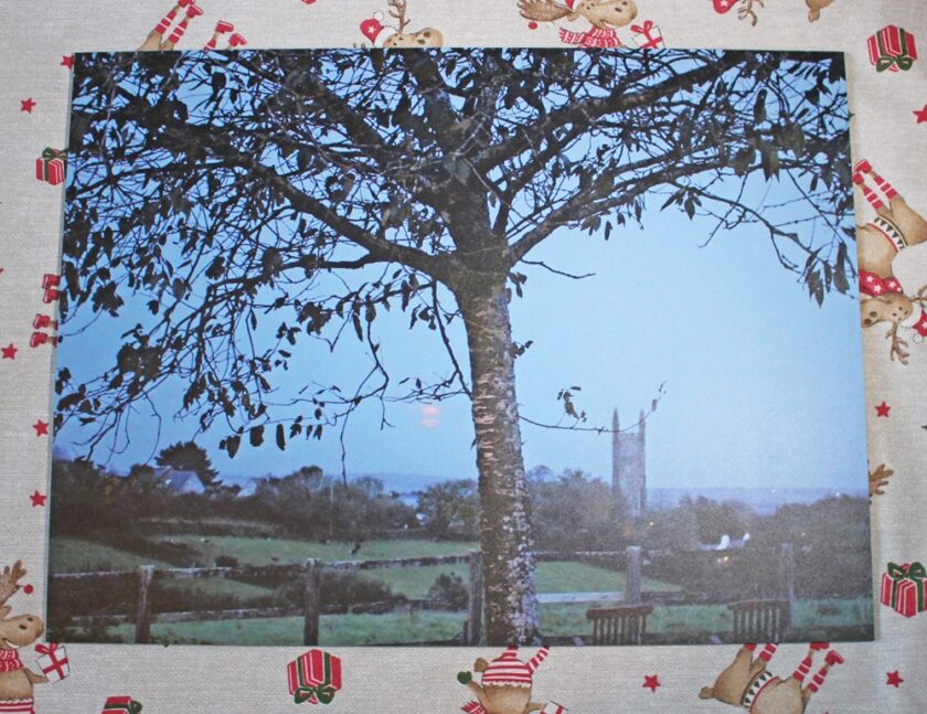 VistaPrint Personalised Print Tree