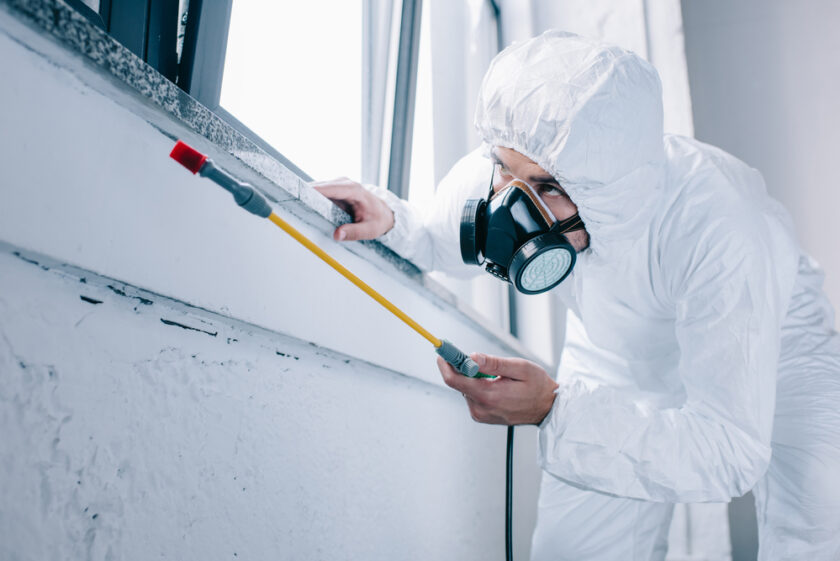 Pest control worker