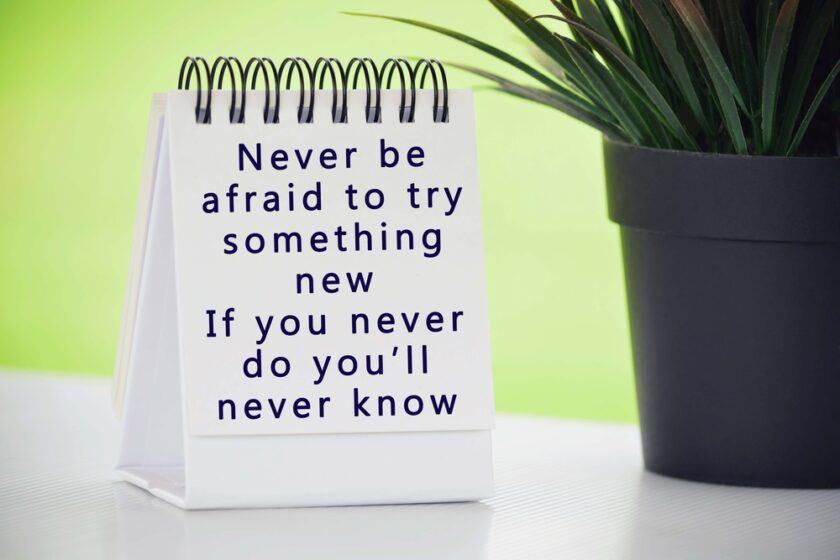 Inspirational quote on white paper stand with potted plant and blurred background - Never be afraid to try something new, if you never do you will never know