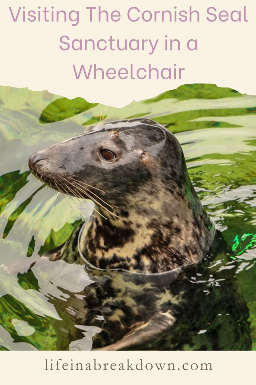Are you thinking about visiting The Cornish Seal Sanctury in a wheelchair? Well here's how I found doing just that.