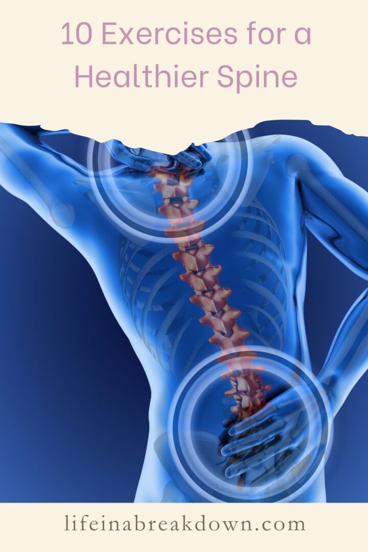 10 Exercises for a Healthier Spine - Life in a Break Down