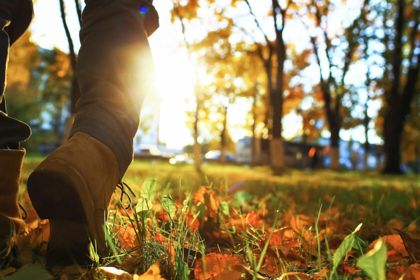 Walking along the path in the leaves in autumn