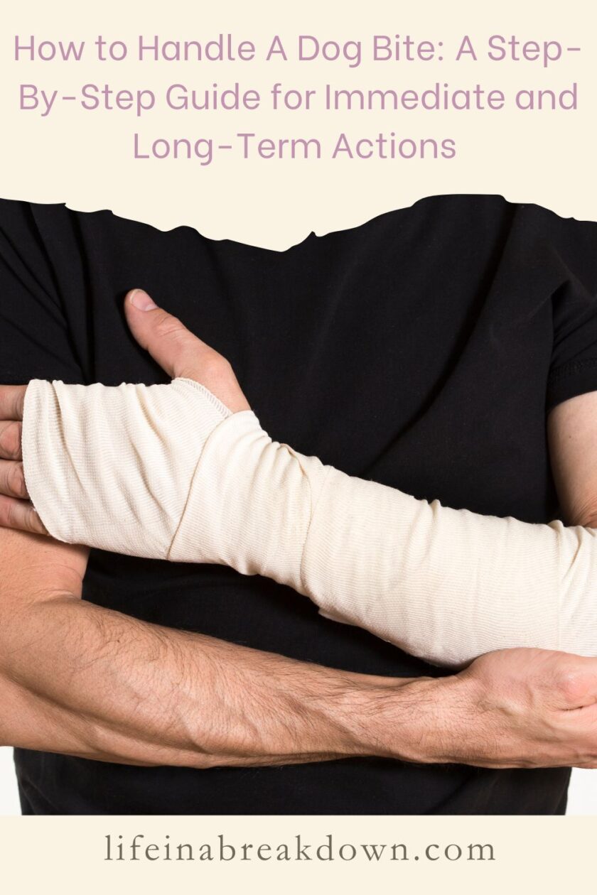 Are you wondering what you need to do after suffering from a dog bite - then here are some steps you might want to think over.