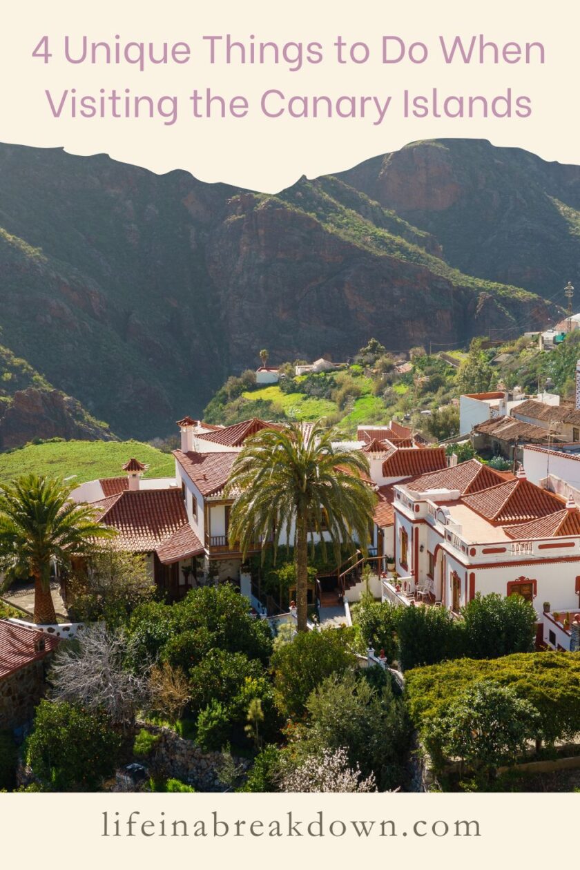 Are you looking to head to the Canary Islands soon? Wondering what to do while you are there? Then check out these 4 ideas.