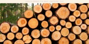 How to Select the Best Log Roller Tool image licensed via canva pro and copyright of getty images and Hemera Technologies