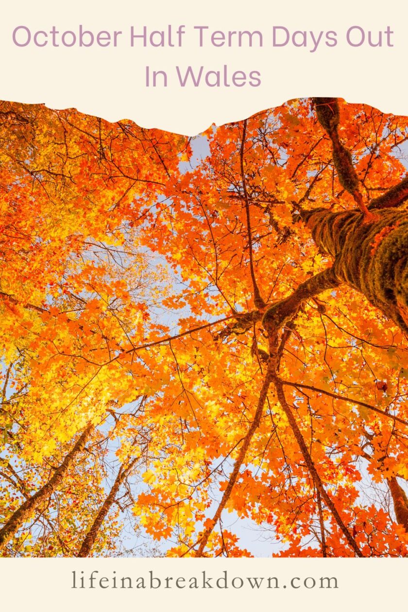 Are you looking to book an autumn staycation then here are some great places to look to visit in Wales this October. 