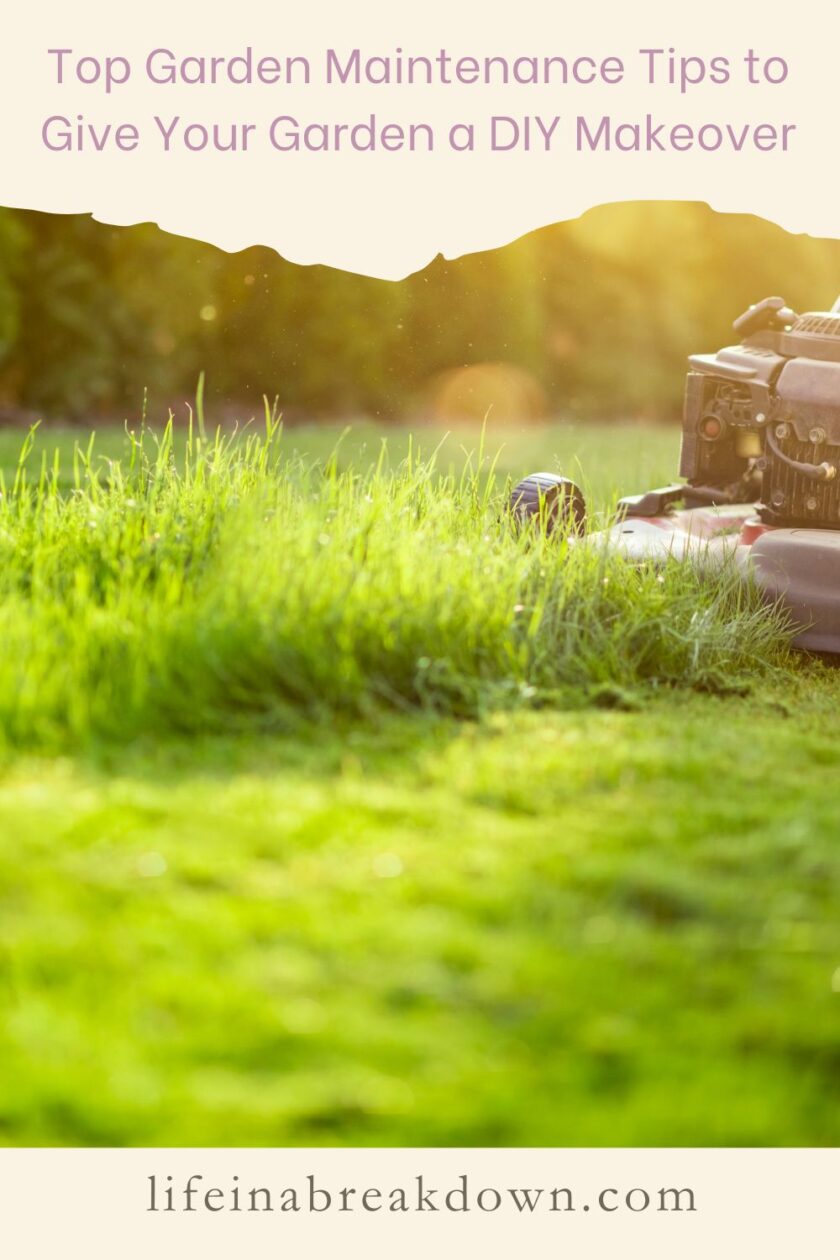Are you wanting to some garden maintenance, then here are some tips to help you give your garden a DIY makeover.