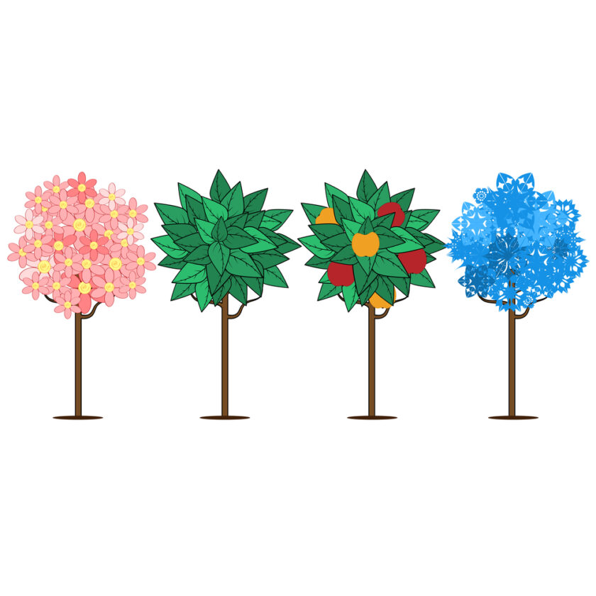 seasons.four trees depicting times of the year.trees isolated on white background.vector
