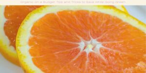 Close-up image of two thinly sliced oranges. The slices show the vibrant orange flesh and translucent segments. The rind is visible, and the overall look is fresh and juicy. The background is a soft white.