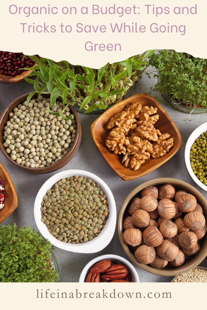 Are you looking for some tips to help you go organic on a budget? Then check out these ideas which might help you do it with ease.