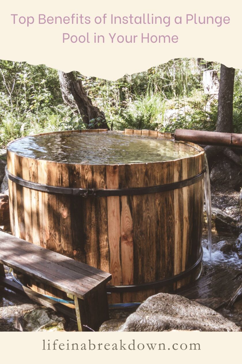 Are you thinking of adding a plunge pool to your home? Then here are some reasons why it might be the right thing to do. 