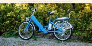 A blue e-bike with a step-through frame and white accents is parked on a gravel path surrounded by lush greenery. A white basket is attached to the rear, and the bike is set against a backdrop of bushes and plants.