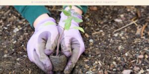 9 Hobbies That Will Make You Happier and Healthier image licensed via canva pro and copyright of Getty images and alexeys