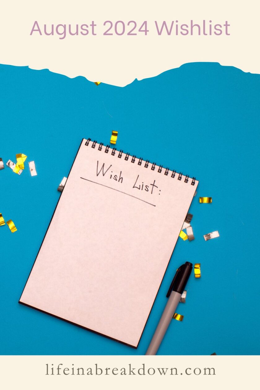 Looking for some fun ideas to add to your own wishlist? Then here are 4 things I've added to mine just this month!