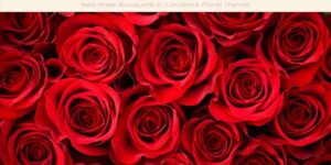 Red Rose Bouquets in London's Floral Trends image licensed via canva pro and copyright of Getty images Signature and Liliboss