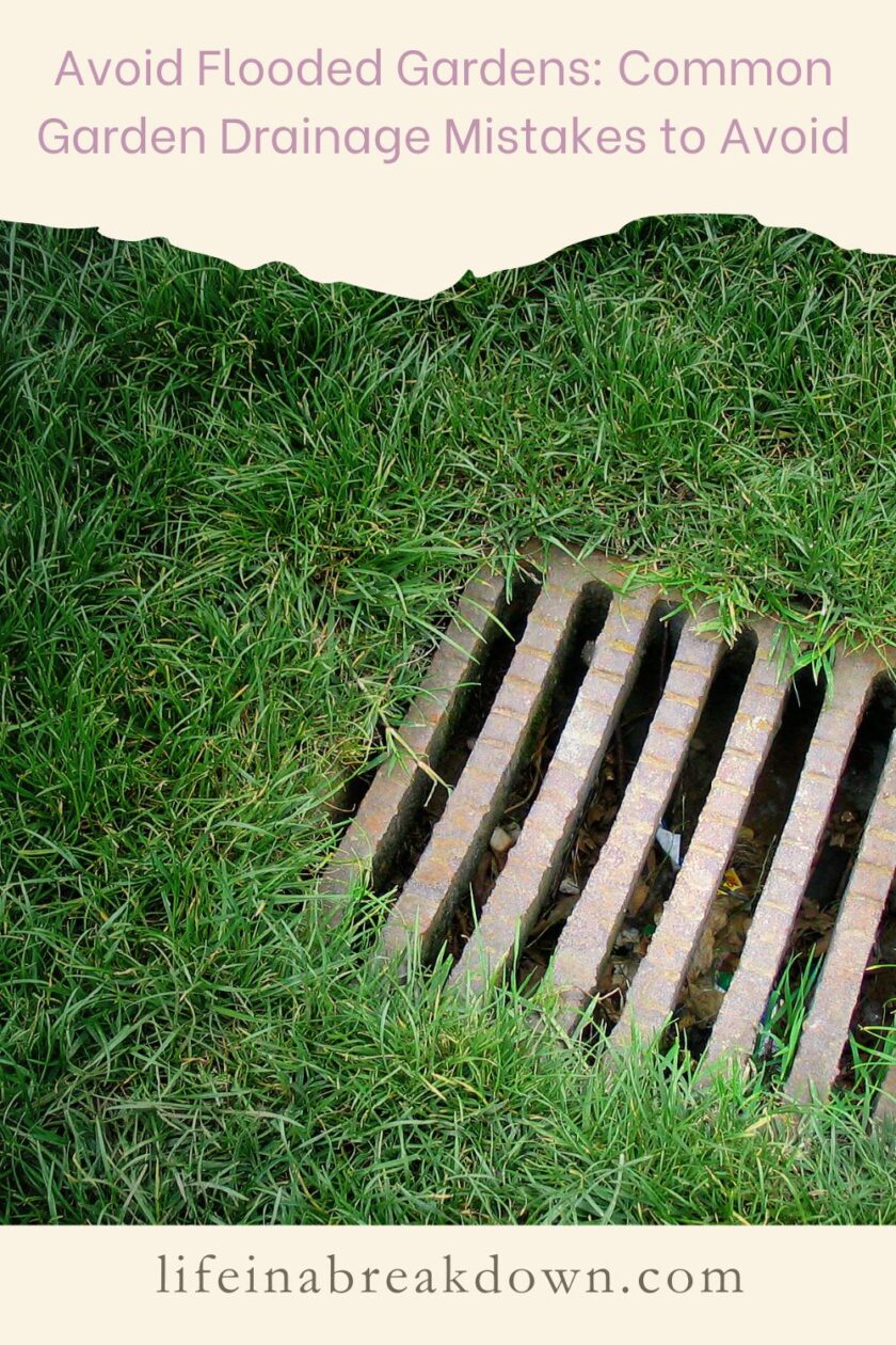 Are you looking to make sure your garden doesn't flood, then check out these top tips for garden drainage to help you out.