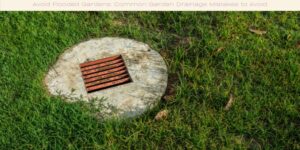 Avoid Flooded Gardens Common Garden Drainage Mistakes to Avoid image licenced via canva and copyright via Getty Images and Weeraa