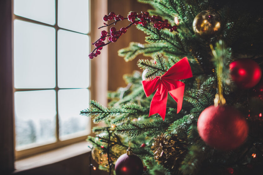 Christmas tree by a window