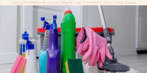 How a Professional House Cleaner Can Transform Your Living Space image licensed via canva pro and copyright of Getty images Signature and bymuratdeniz