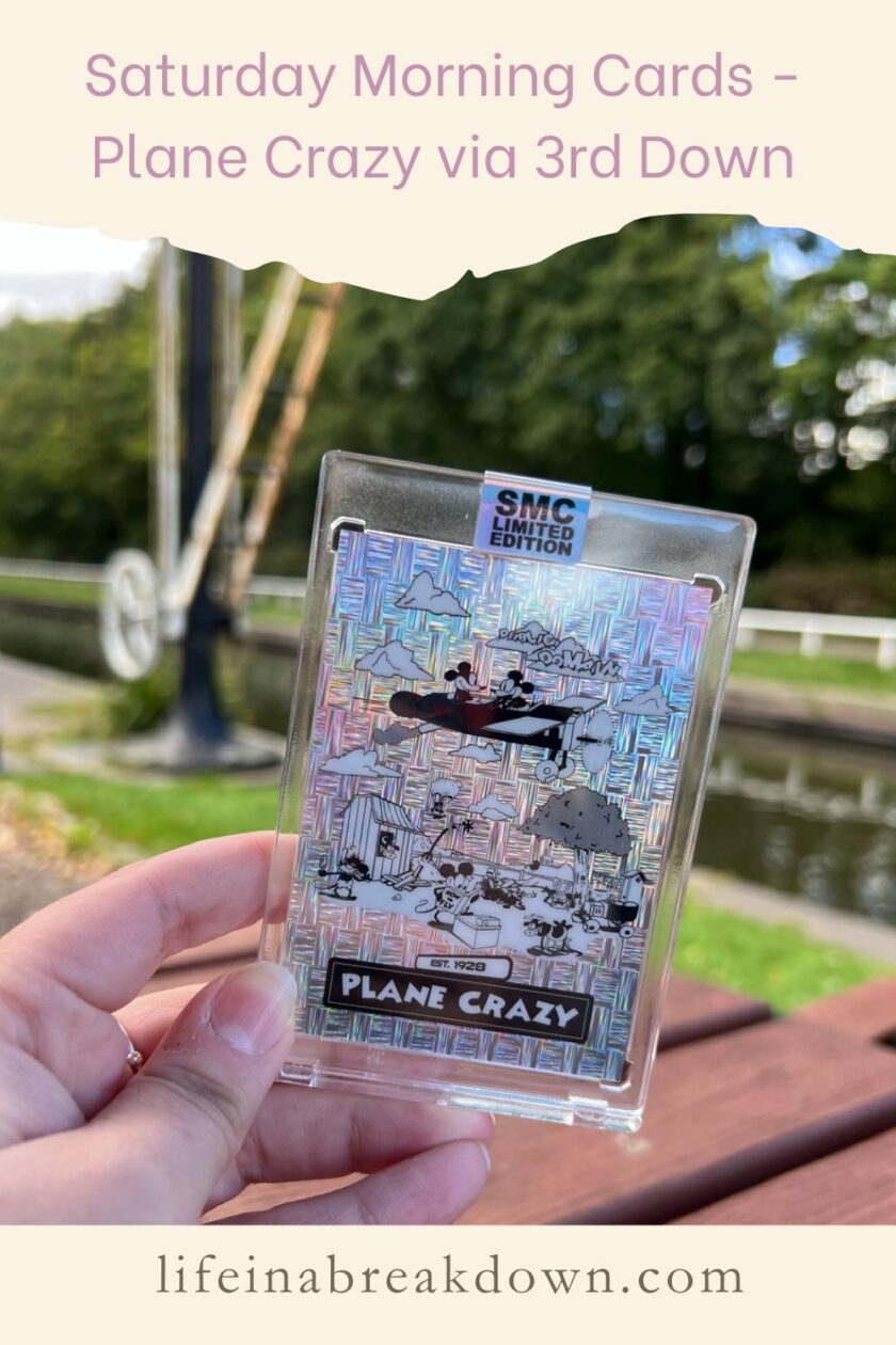 Find out more about this up & coming card company who specialise in limited releases of nostagic Saturday morning shows; Saturday Morning Cards.