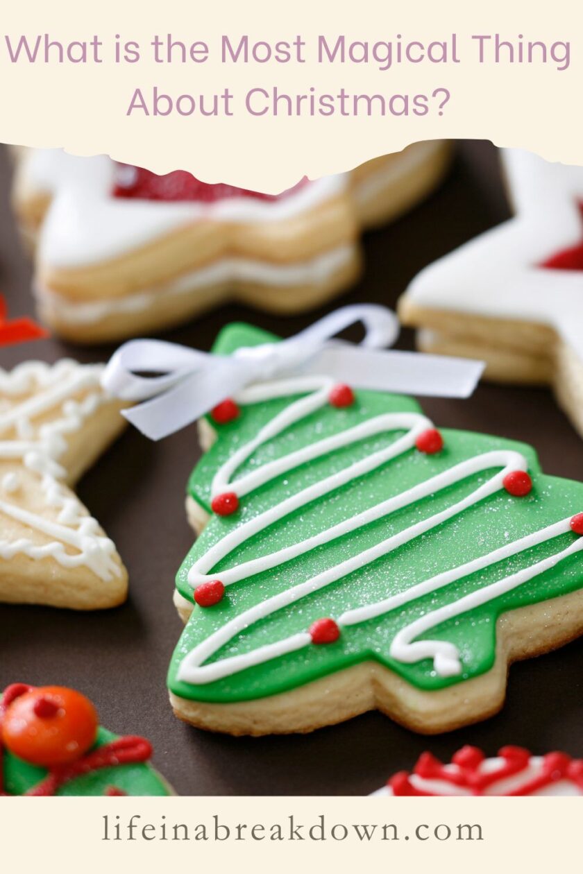 People love Christmas for all different reasons, however here are some of the most magical things about this time of year.
