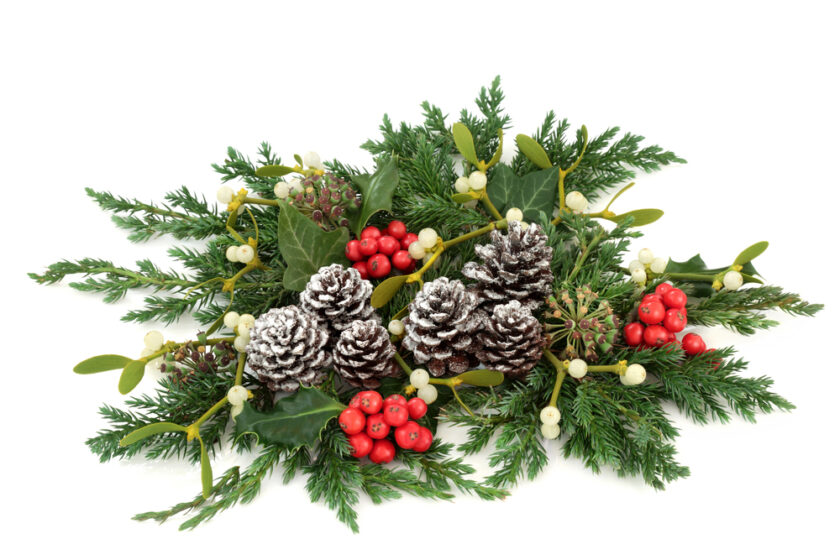 Christmas decor holly and ivy