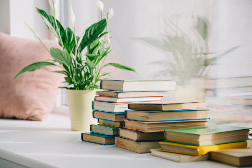 books on a windowsill with plants