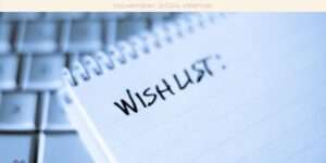 November 2024 Wishlist