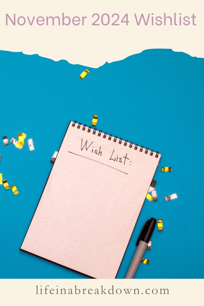 Are you looking for some unique ideas to add to your wishlist this year? Then check out these 4 ideas from me to you. 