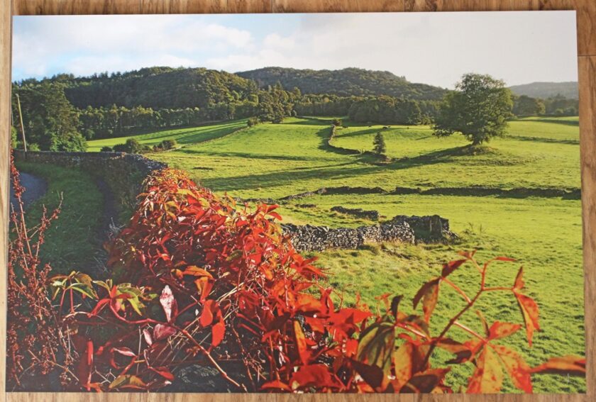 Personalised Photo from VistaPrint on Metal Print