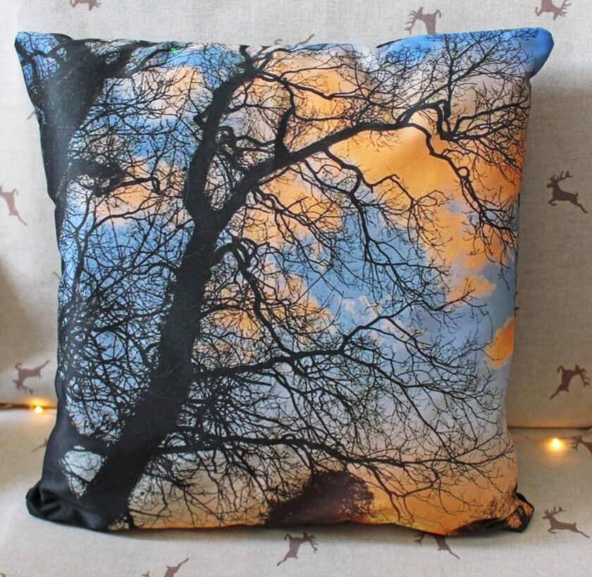 Small Cushion from VistaPrint with Tree at Sunset on it