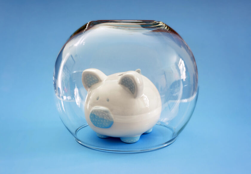 A white and blue ceramic piggy bank is enclosed in a glass bowl against a light blue background.