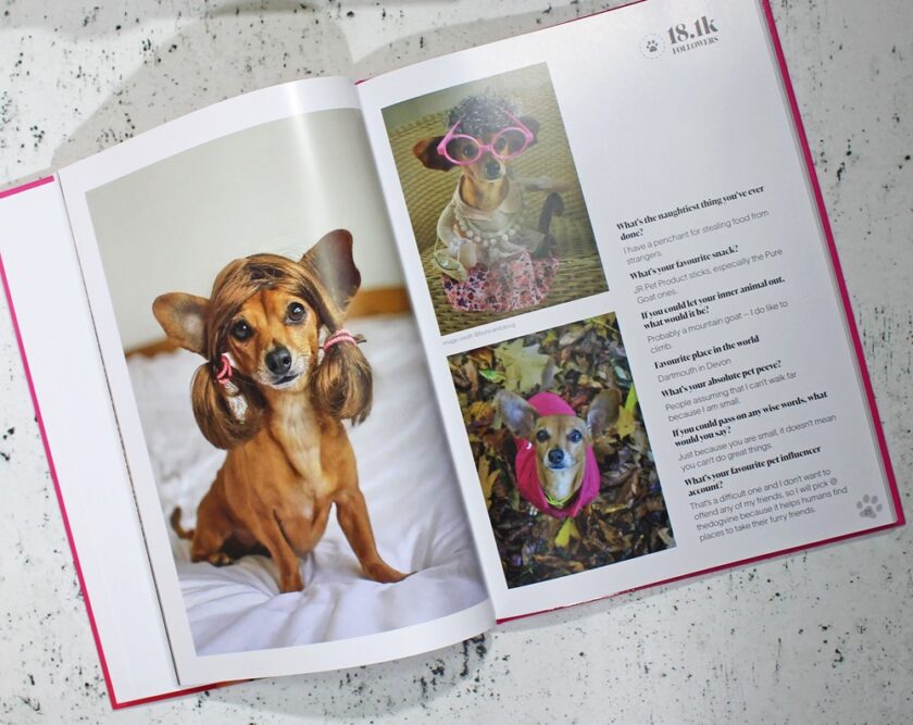 Dog The Originals by Chilliwawa Inside Page