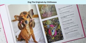 An open book titled Dog The Originals by Chilliwawa features pages with photos of a small dog in various outfits, including one wearing a wig and another in a pink dress. Text accompanies the images, detailing a playful narrative.