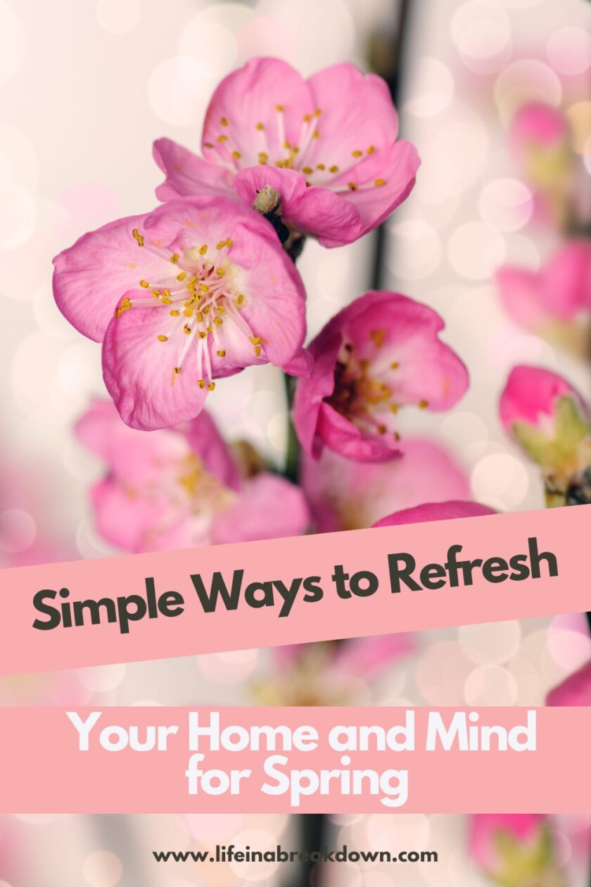 Refresh your home and mind this spring with easy decluttering tips, natural decor ideas, and routine changes for a brighter season.