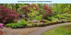 100 Things to Do This Spring – No Matter the Weather