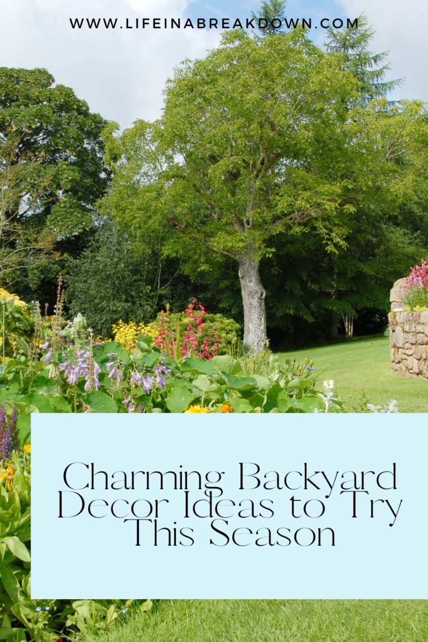 Transform your backyard with these creative outdoor decor ideas. Enhance comfort, style, and functionality in your outdoor space.