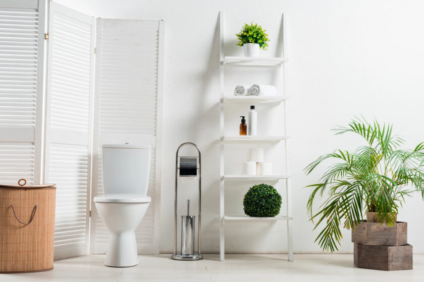 A stylish bathroom featuring a modern white toilet and chic ladder shelf for storage.