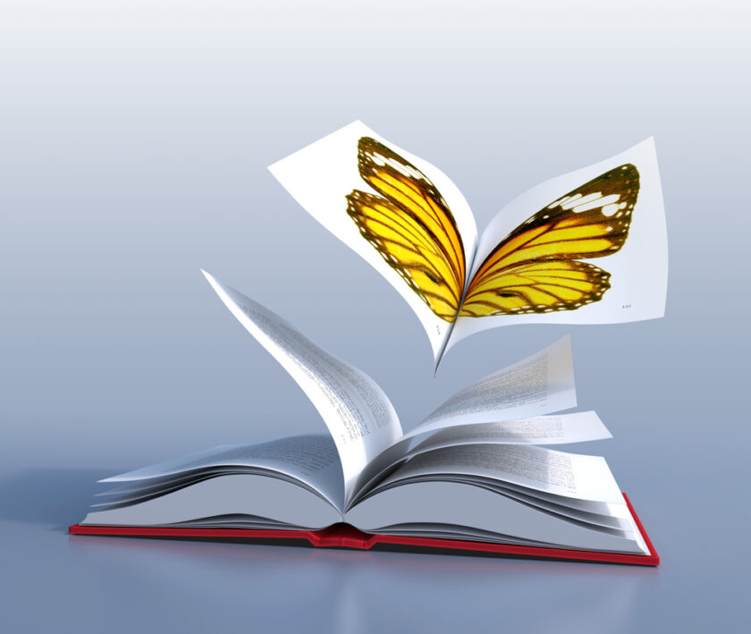 Red hardcover book open in its middle, as the wings of a butterfly
