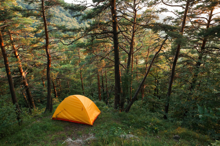 A yellow tent is pitched on a grassy area surrounded by tall trees in a dense forest, with sunlight filtering through the leaves. The scene conveys a sense of peaceful solitude in nature.