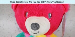 Mood Bears Review The Hug You Didn’t Know You Needed