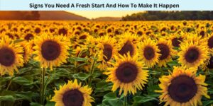 Signs You Need A Fresh Start And How To Make It Happen