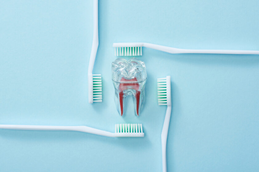 A clear model of a tooth with roots is centered among four white toothbrushes with green bristles on a light blue background, forming a symmetrical pattern.