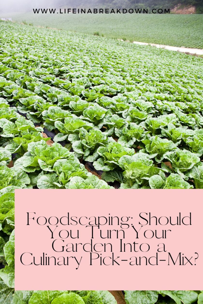 Transform your garden with foodscaping! Combine beauty and function by growing edible plants that are both nourishing and eye-catching.