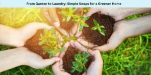 From Garden to Laundry Simple Swaps for a Greener Home Guide