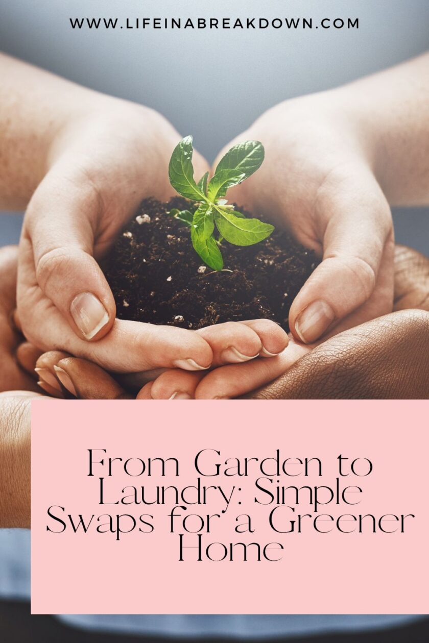 Make your home greener with simple swaps. Save energy, reduce waste, and choose safer products for a healthier, more sustainable lifestyle.