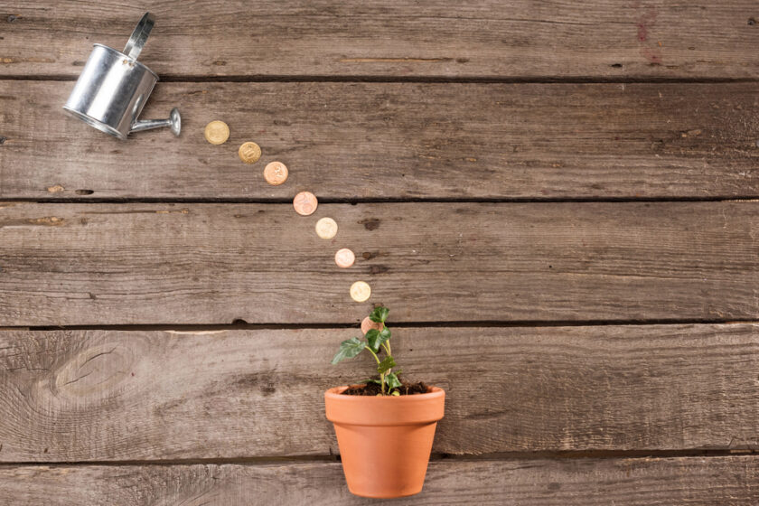 A small plant in a terracotta pot is on a wooden surface. Coins appear to be pouring from a metal watering can above, suggesting financial growth or investment.