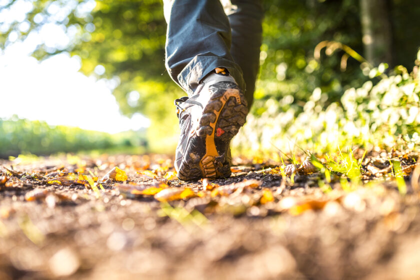Close-up of a person’s hiking shoes walking on a dirt trail in a sunlit forest, with fallen leaves scattered on the ground and green foliage in the blurry background.