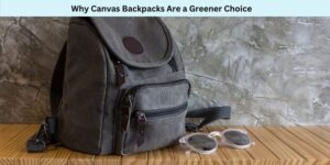 Why Canvas Backpacks Are a Greener Choice